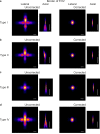 Figure 2—figure supplement 1.