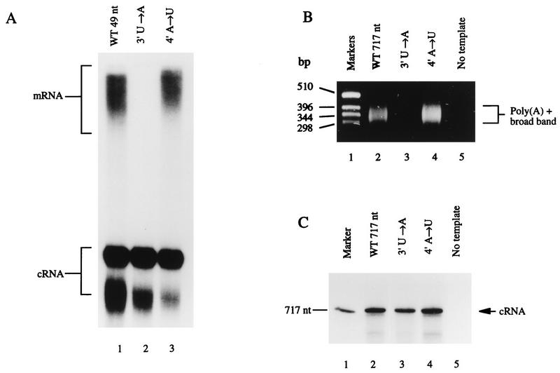 FIG. 5