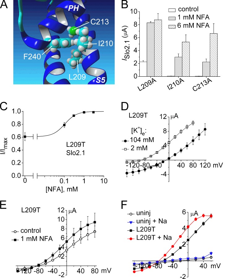 Figure 11.