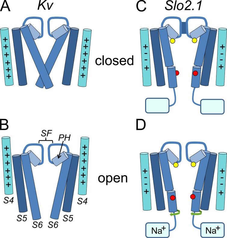 Figure 13.