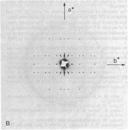 graphic file with name pnas00615-0146-c.jpg