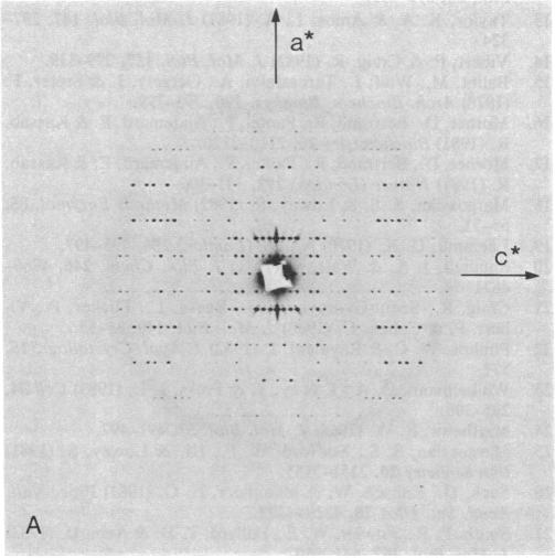 graphic file with name pnas00615-0146-d.jpg