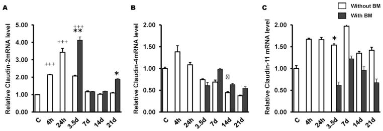 FIG. 6