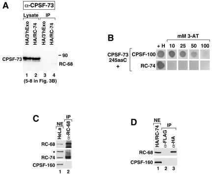 FIG. 4.