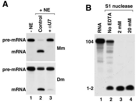 FIG. 7.