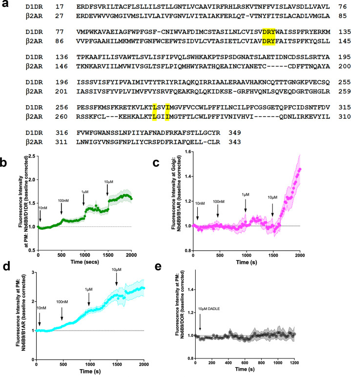 Figure 1—figure supplement 1.