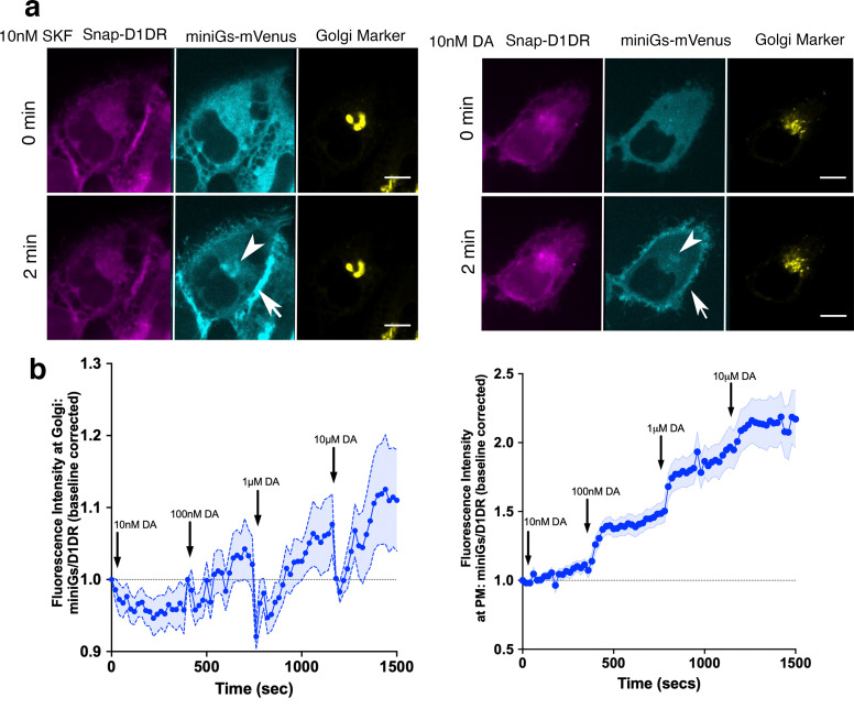 Figure 1—figure supplement 3.