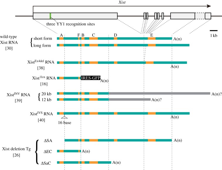 Figure 2.