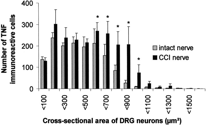 Fig. 10.