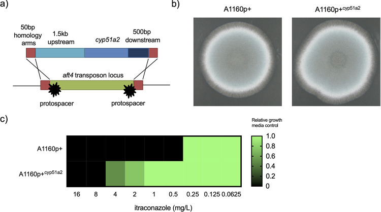 FIG 2