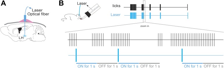 Figure 2—figure supplement 1.