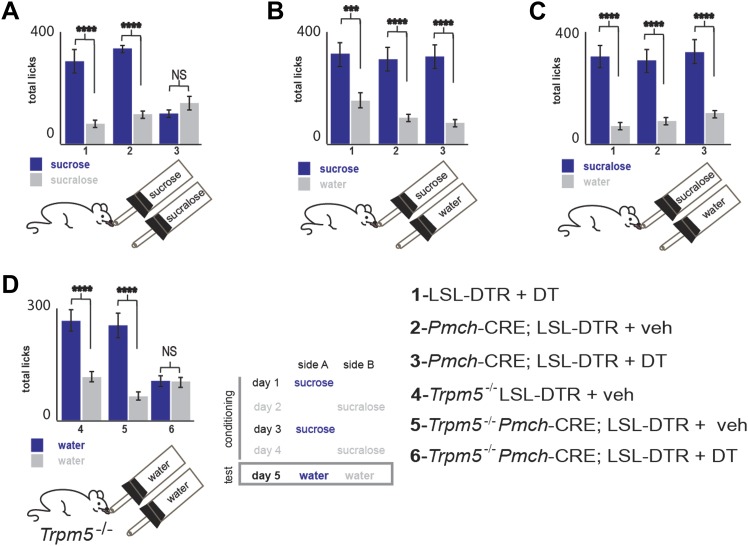 Figure 5—figure supplement 1.