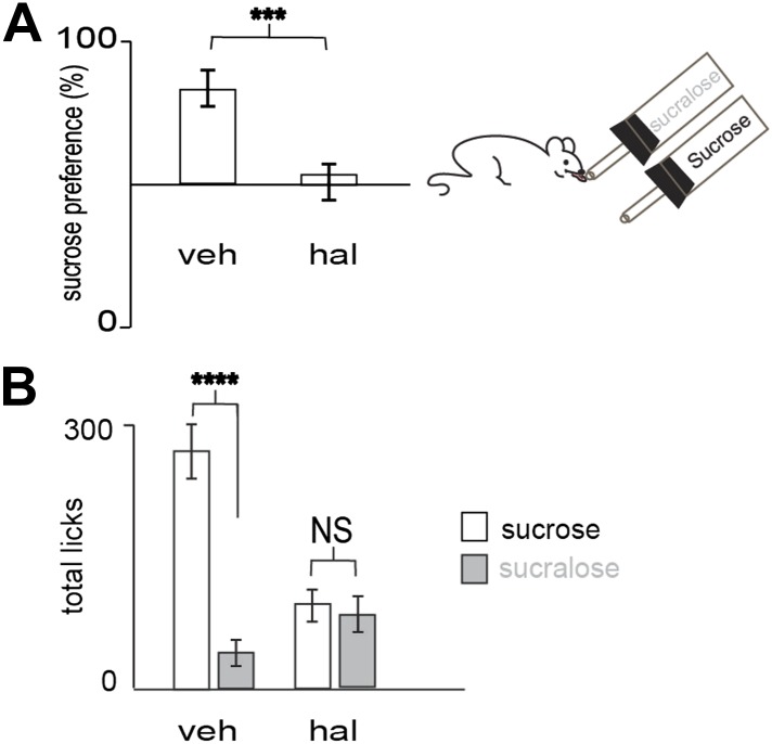 Figure 3—figure supplement 2.