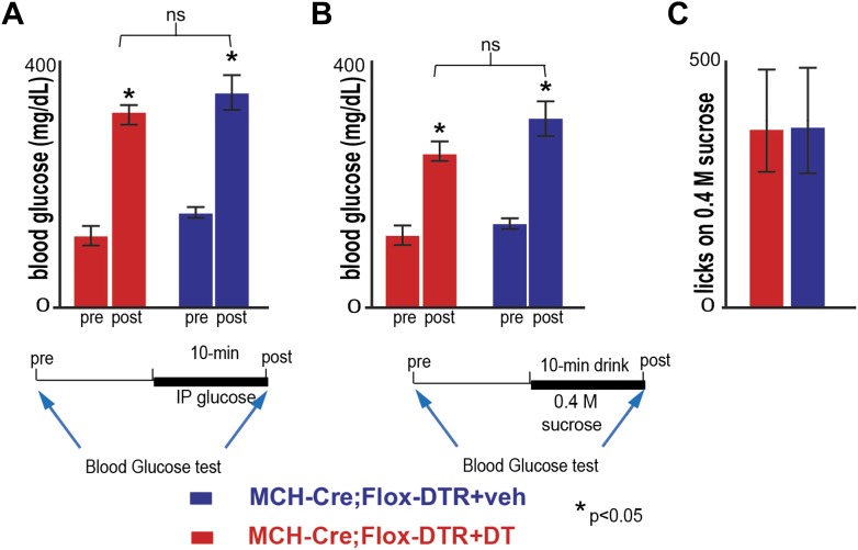 Figure 5—figure supplement 2.