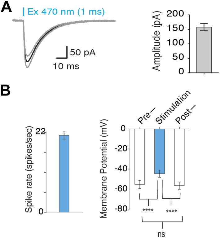 Figure 1—figure supplement 1.