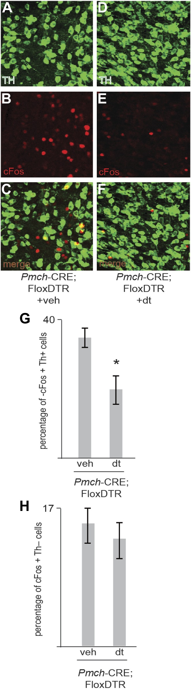 Figure 5—figure supplement 3.