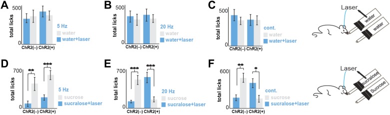 Figure 2—figure supplement 2.