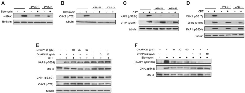 FIG 3.