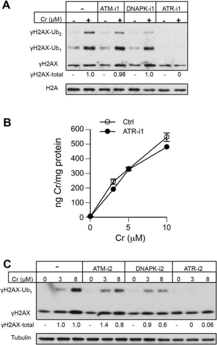 FIG 4.