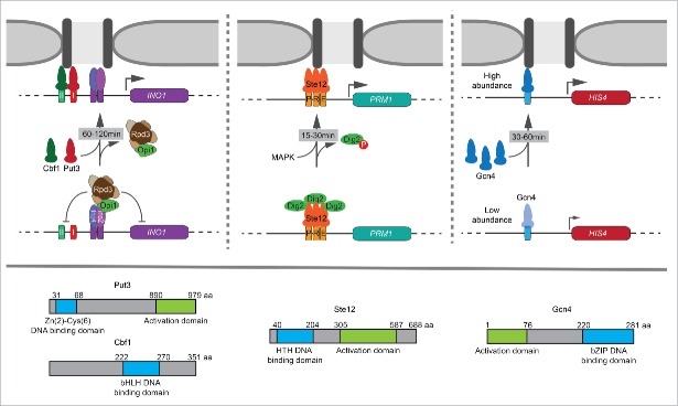 Figure 1.