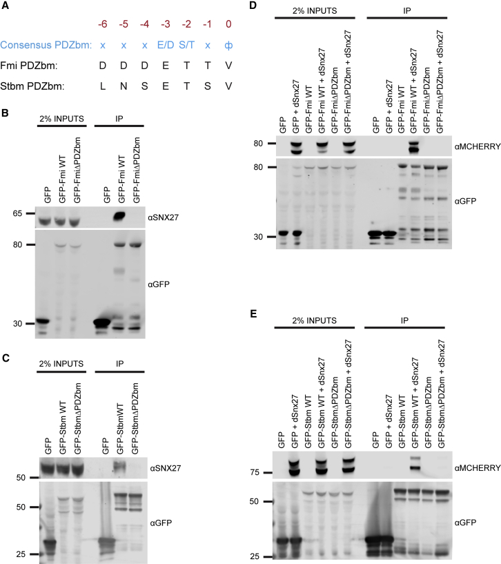 Figure 2