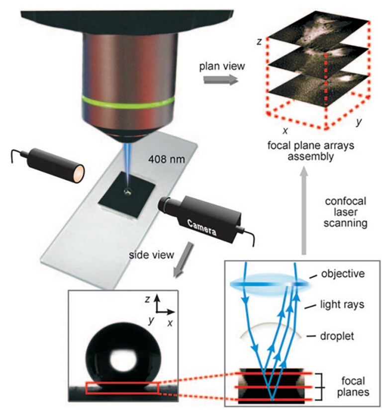 Figure 12