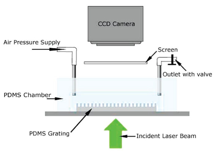 Figure 10