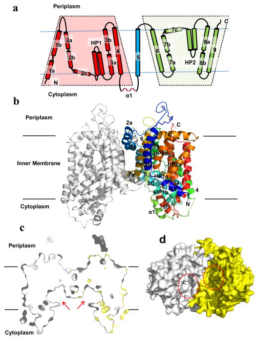 Fig. 1