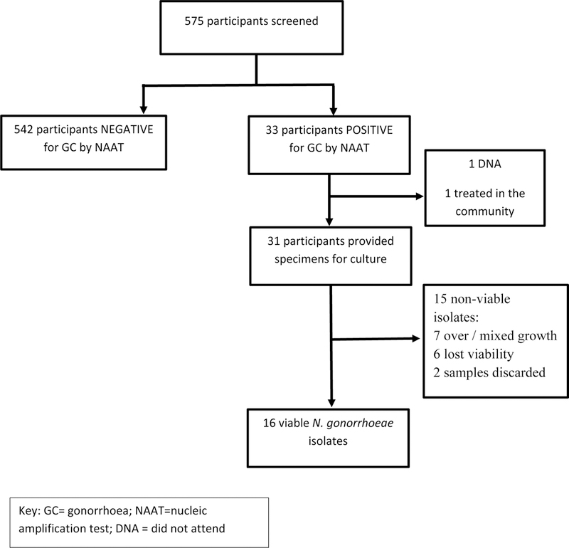 Figure 1: