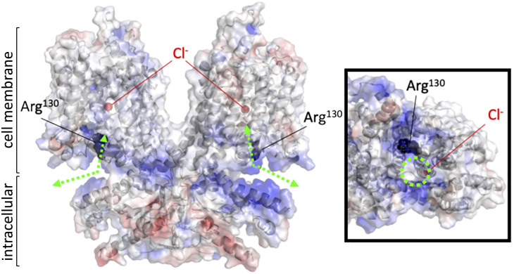 Fig. 3.