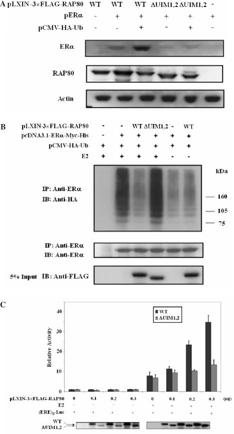 Figure 9.