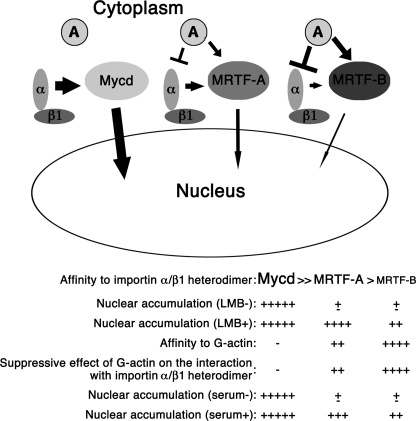 FIGURE 7.