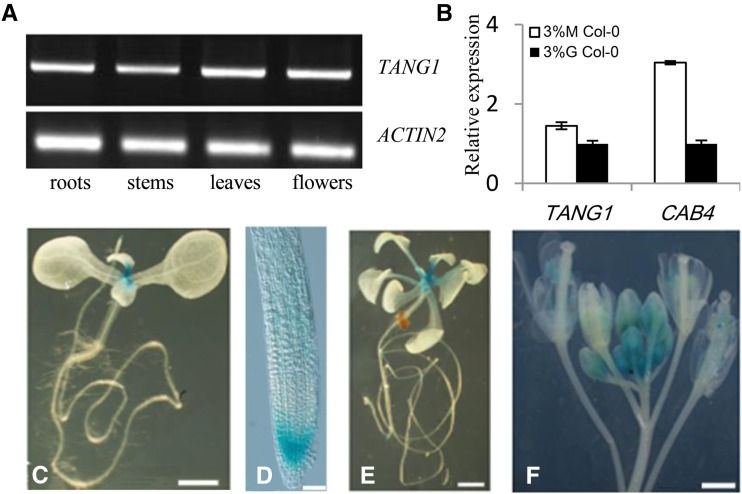 Figure 3.