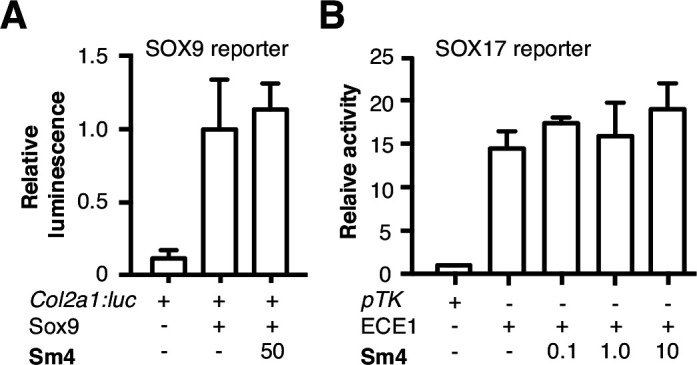 Figure 2—figure supplement 3.