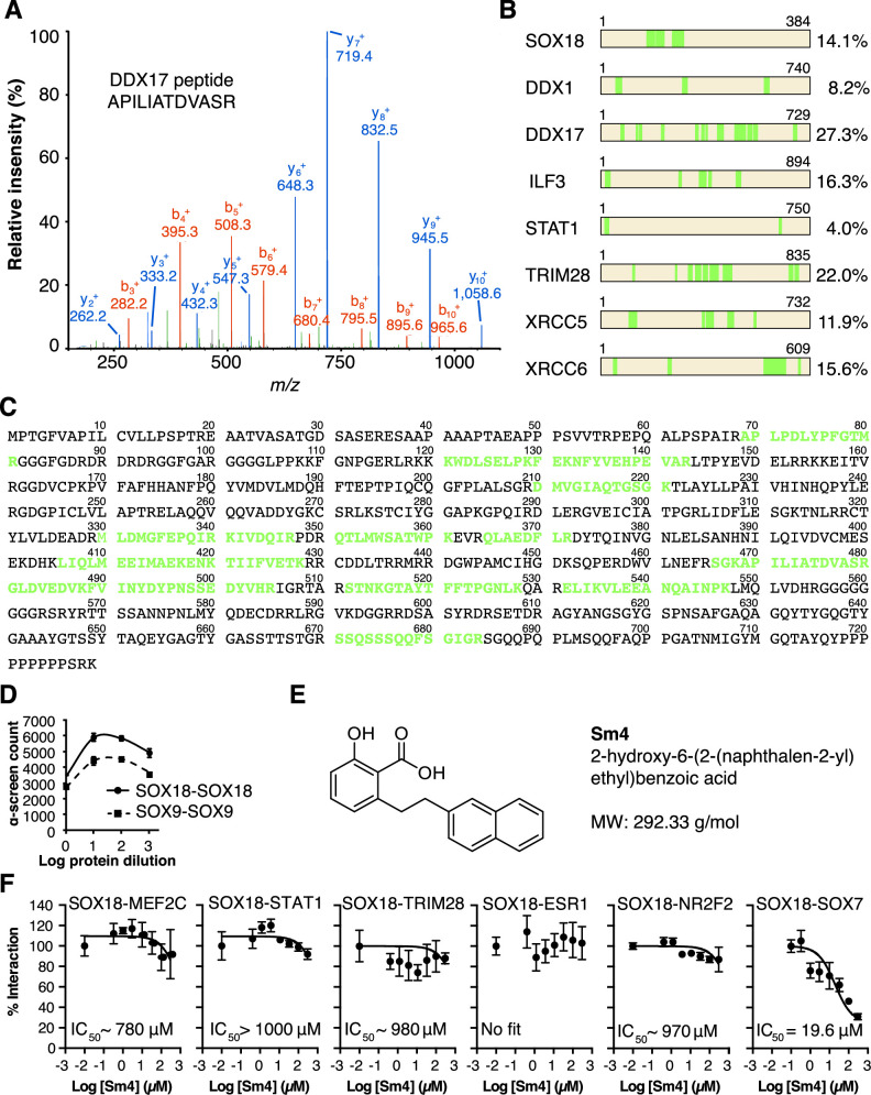 Figure 1—figure supplement 1.