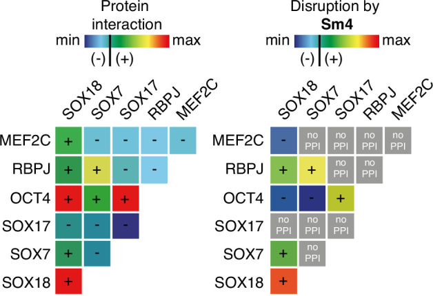 Figure 1—figure supplement 2.