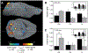 Fig. 3.