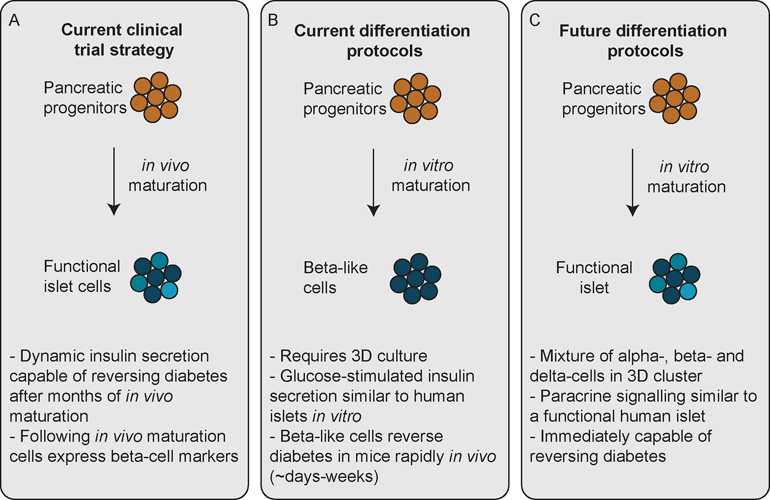 Figure 3: