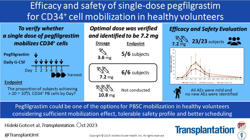 Efficacy And Safety Of Single-dose Pegfilgrastim For Cd34+ Cell 