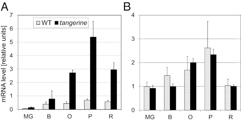 Fig. 5.