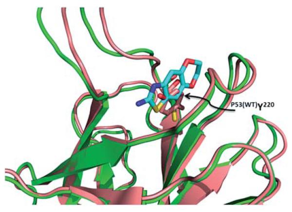 Fig. 16