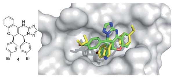 Fig. 8