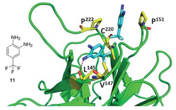 Fig. 15