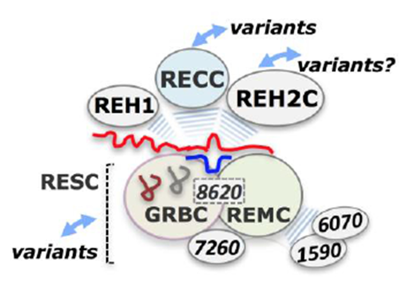 Figure 2.