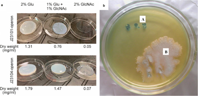 Fig. 3