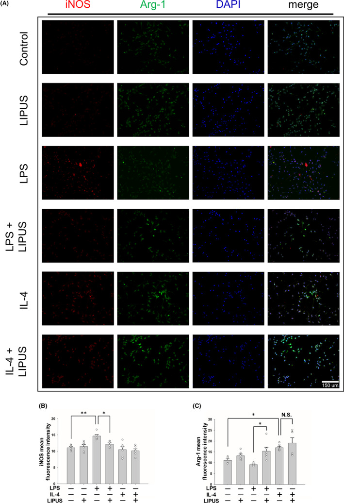 FIGURE 4