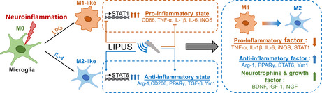 graphic file with name CNS-29-4113-g002.jpg