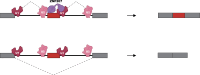 Figure 7: