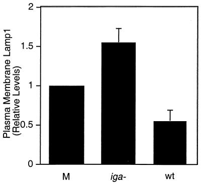 FIG. 6.