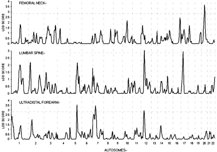 FIG. 1